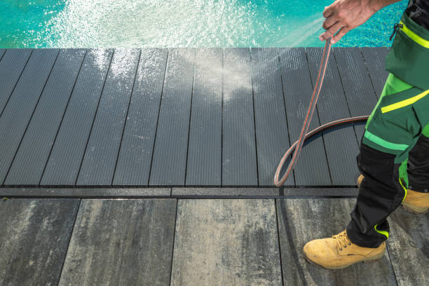 Best Roof Pressure Washing  in Flemingsburg, KY